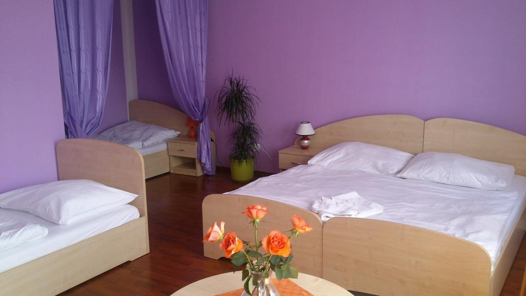 Hotel & Motorest V Udoli Zlateho Potoka Blsany الغرفة الصورة